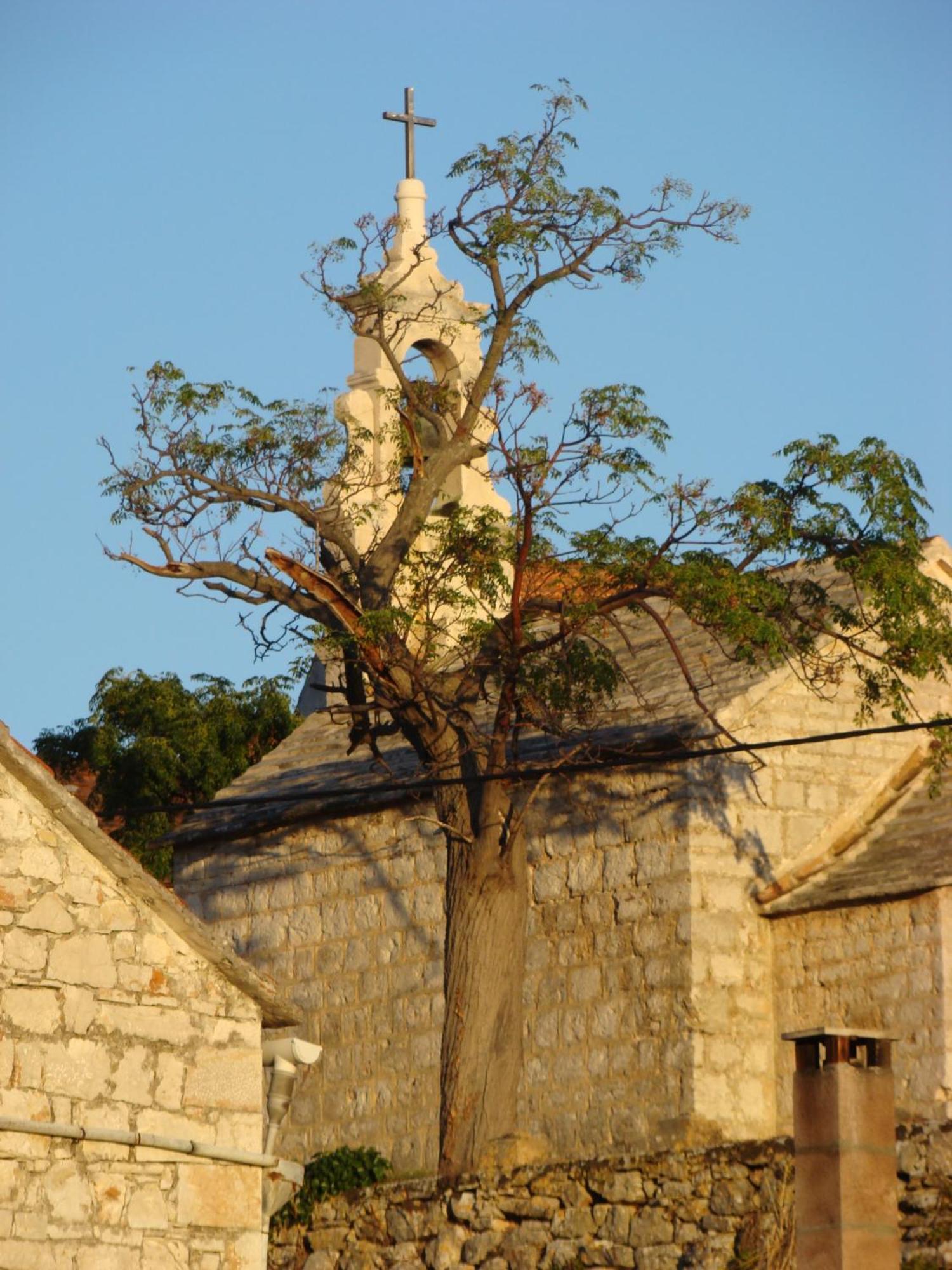 Villas Oleandri Vrboska Dış mekan fotoğraf
